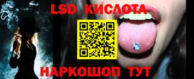 СК Владимир