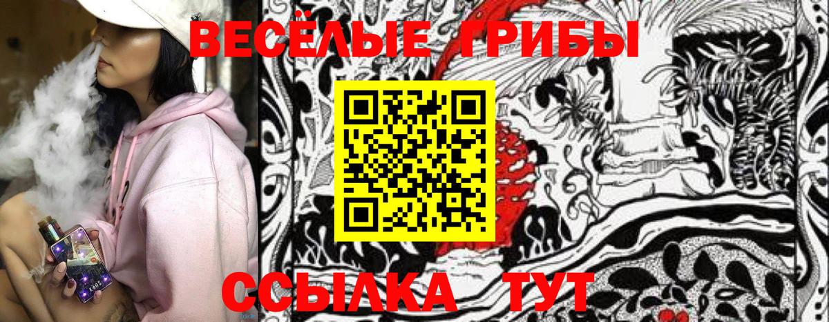 Вязники  Галлюциногенные грибы Magic Shrooms  Вход с VPN  дарнет шоп  Галлюциногенные грибы Magic Shrooms 