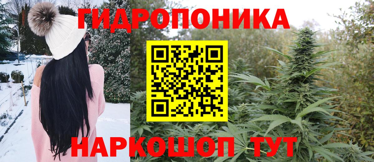 Вязники  Марихуана план  Шишки марихуана Amnesia  Канабис Amnesia  Бошки марихуана THC 21%  Вход с VPN 